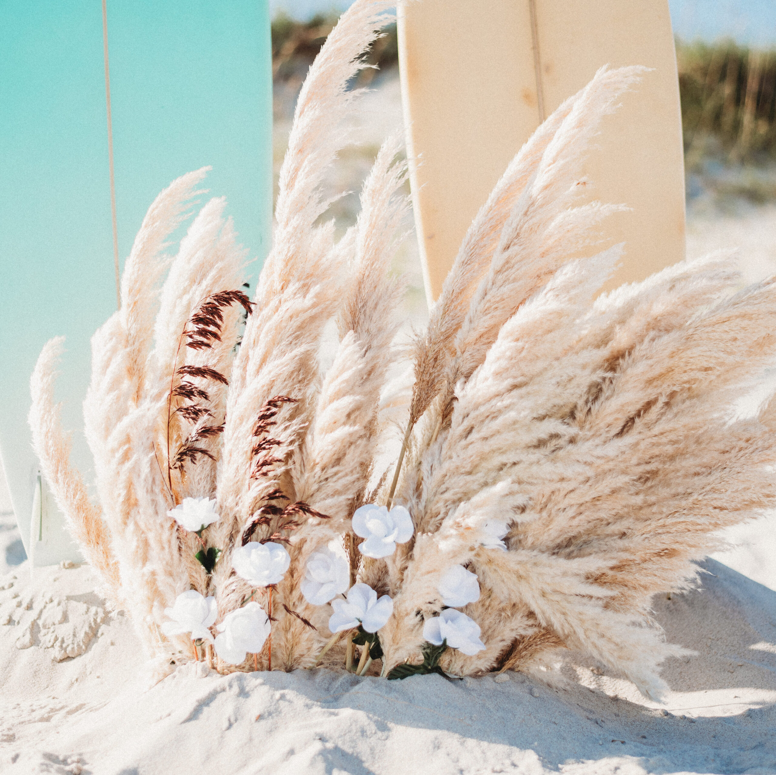 Beach Elopement 