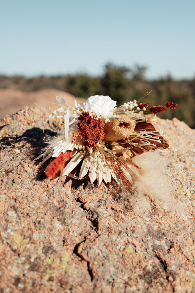 Desert Elopement